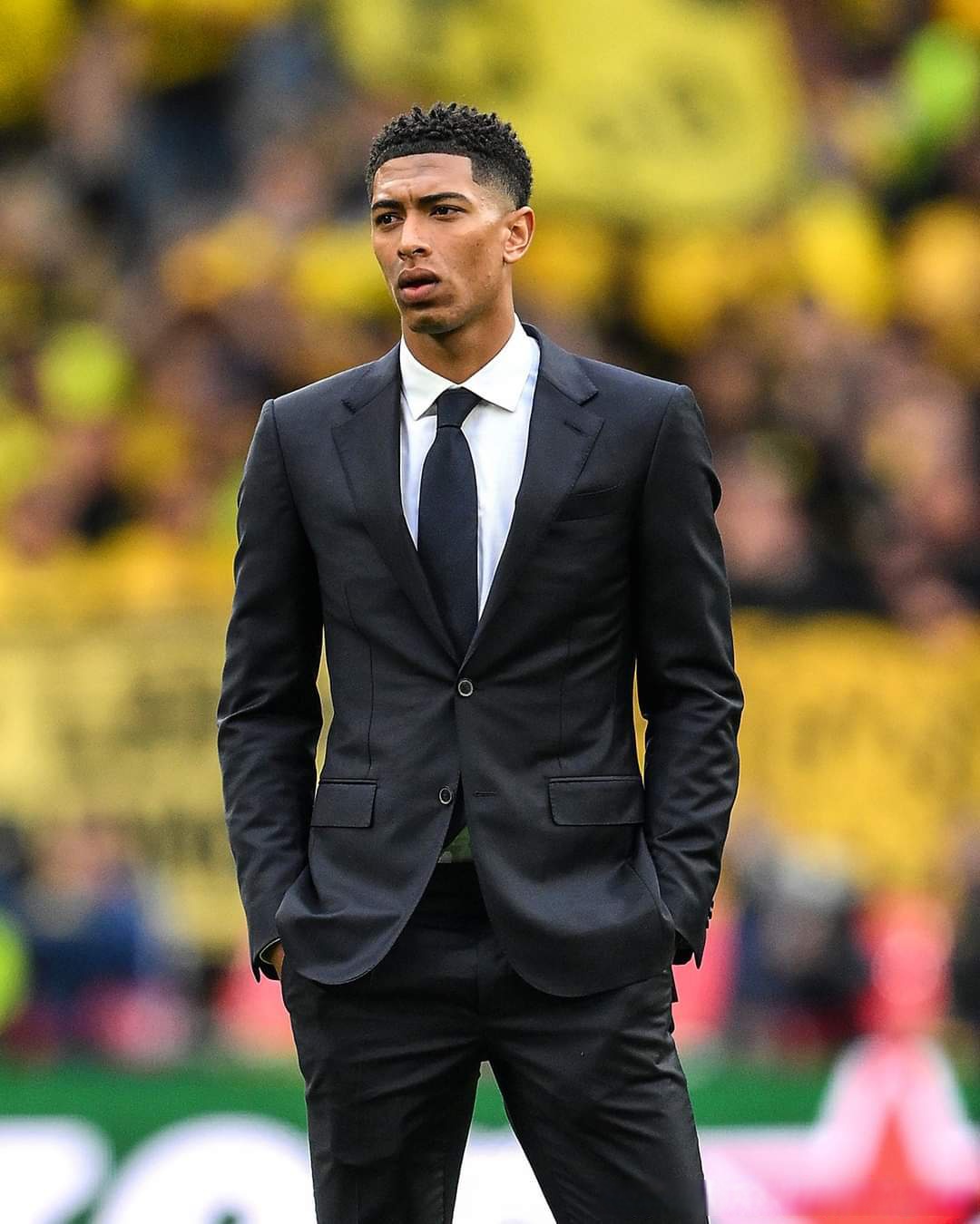 小龙设置节 小龙设置节