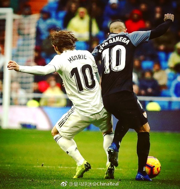 训练设计的 训练设计的